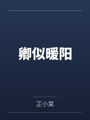 卿似暖阳类似小说封面