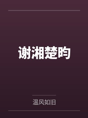 叶北辰封面