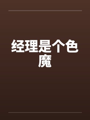 经理啊封面