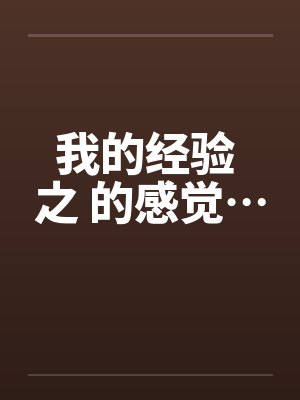 以我的经验封面