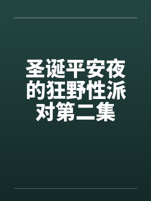 圣诞平安夜的狂野性派对第二集封面