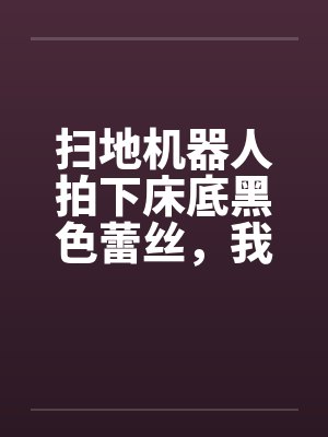 扫地机器人拍下床底黑色蕾丝,我反手送教授老公入狱封面