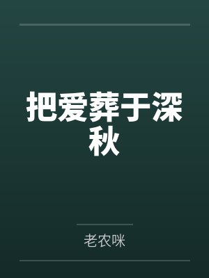 把爱葬于深秋封面
