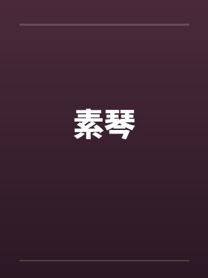 素琴封面