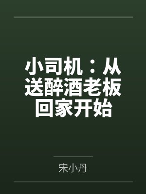 小司机：从送醉酒老板回家开始封面