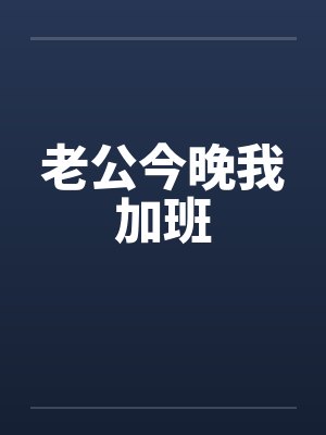 老公今晚我加班封面